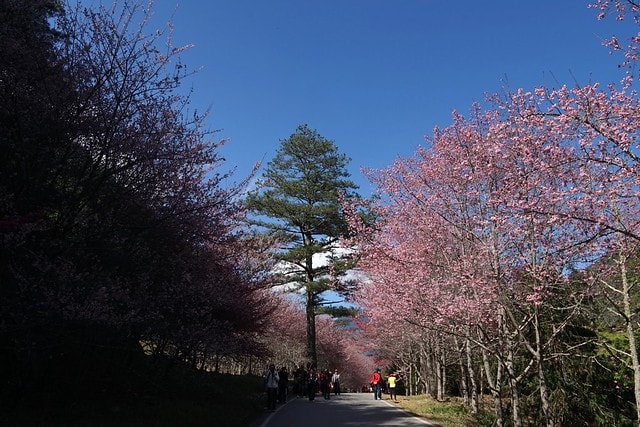 20251102-g1ixy 20251102-g1ixy