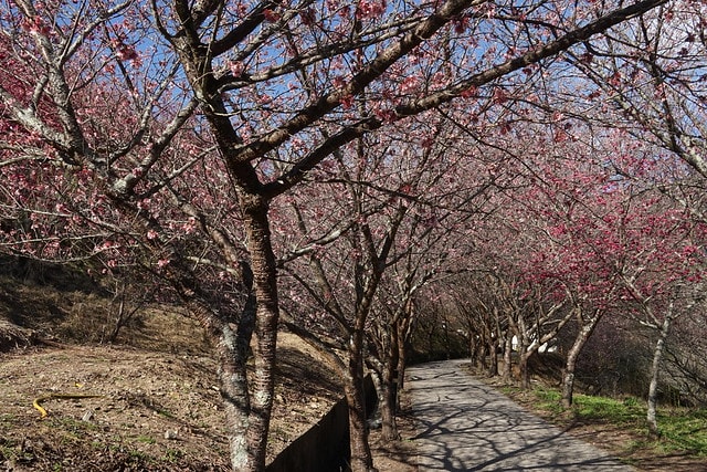 20251102-g3dqu 20251102-g3dqu