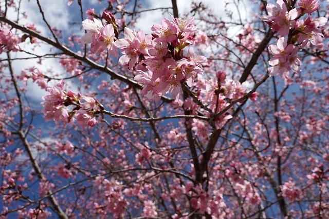 20251102-gut5v 20251102-gut5v