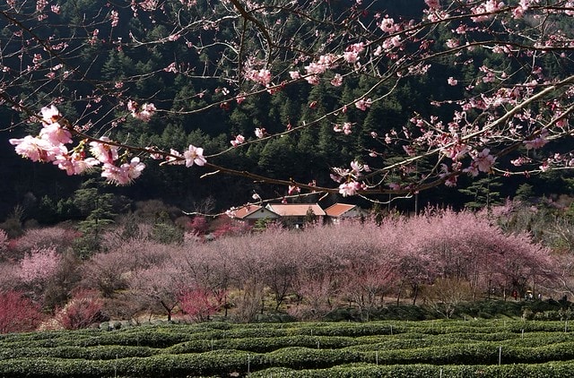 20251102-gwvkj 20251102-gwvkj