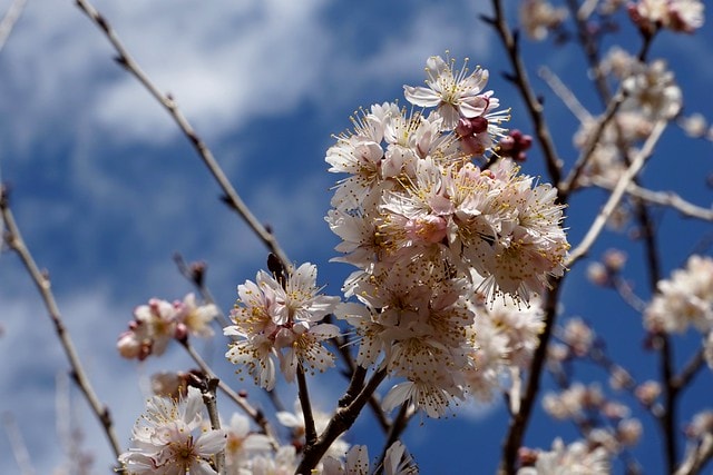 20251102-h9y7h 20251102-h9y7h