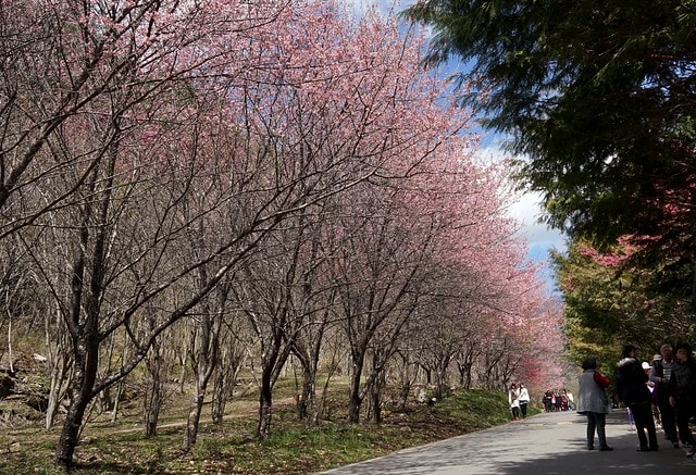 20251102-hlyf4 20251102-hlyf4