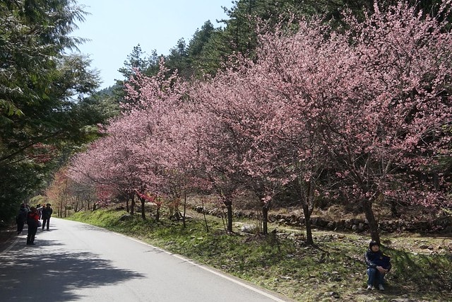 20251102-inre7 20251102-inre7