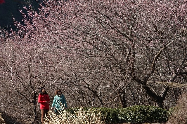 20251102-m4807 20251102-m4807