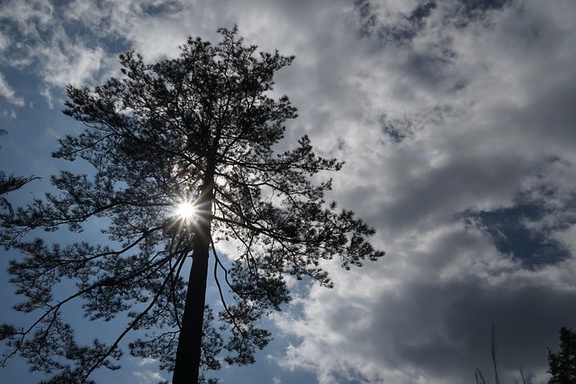 20251102-nfx5d 20251102-nfx5d