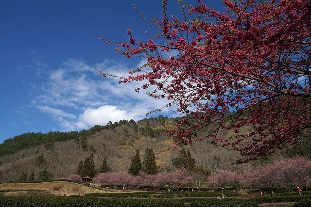 20251102-nj4oa 20251102-nj4oa