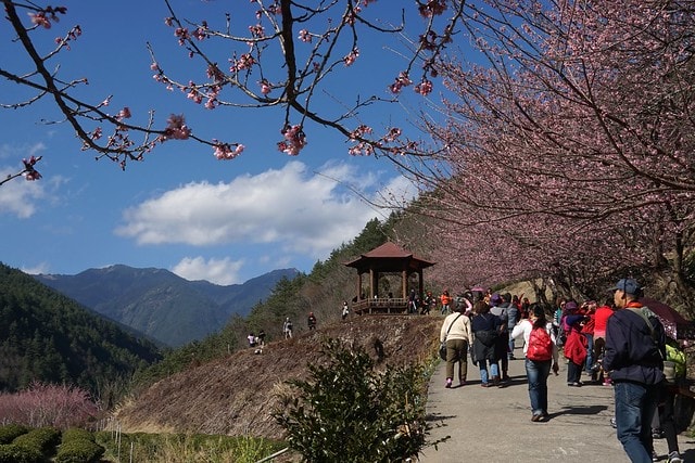 20251102-q23u9 20251102-q23u9