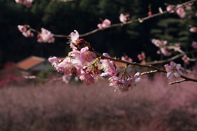 20251102-qhk00 20251102-qhk00