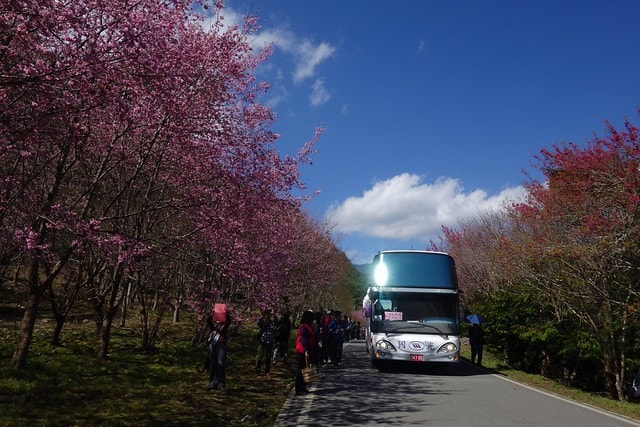 20251102-tfeuu 20251102-tfeuu