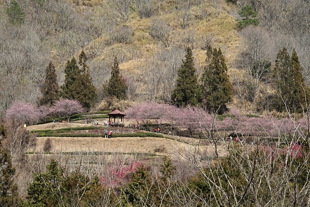 20251102-tjz7a 20251102-tjz7a