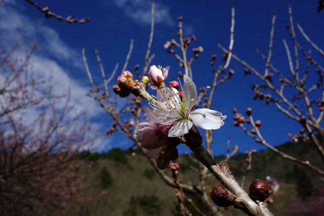 20251102-u3nvs 20251102-u3nvs