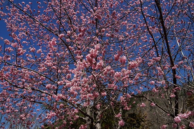 20251102-vktb3 20251102-vktb3