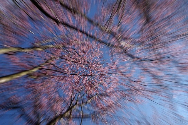 20251102-w2ego 20251102-w2ego