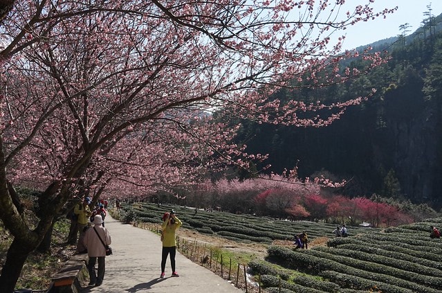 20251102-wq25p 20251102-wq25p