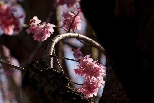 20251102-wrzd8 20251102-wrzd8