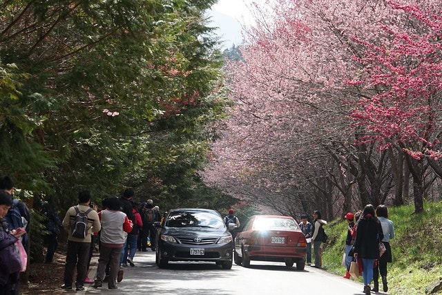 20251102-wt05v 20251102-wt05v