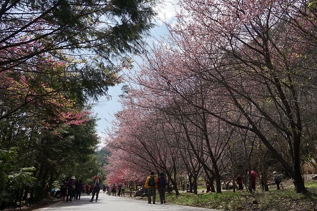 20251102-wz9tz 20251102-wz9tz