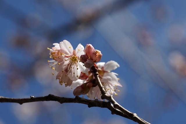 20251102-y33hz 20251102-y33hz