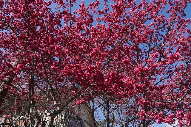 20251102-yfkdh 20251102-yfkdh