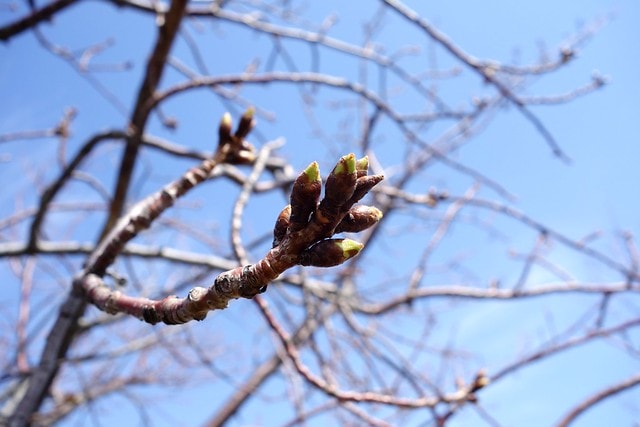 20251102-kmbf2 20251102-kmbf2