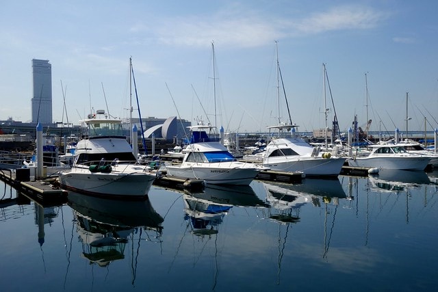 20251102-qjyz7 20251102-qjyz7