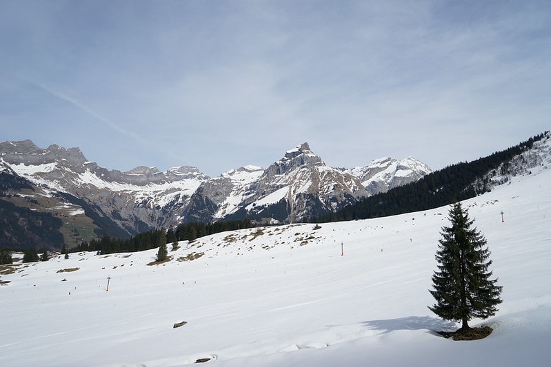 20251102-d17uq 20251102-d17uq