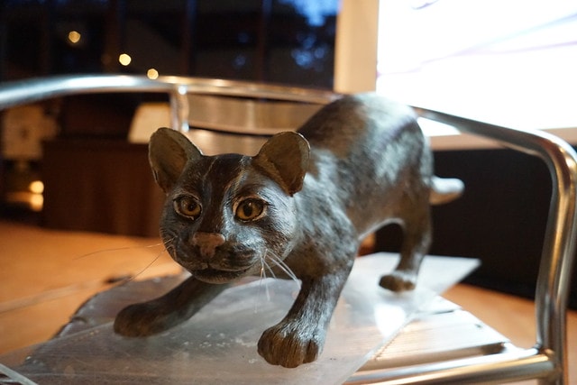 20251102-ajy64 20251102-ajy64