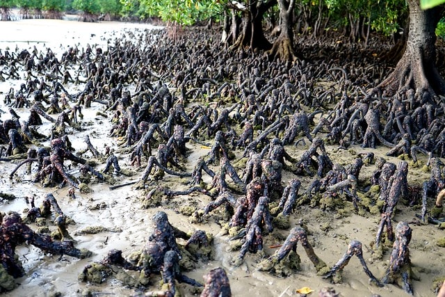 20251102-fo6p1 20251102-fo6p1