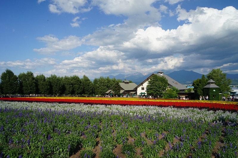 20251102-kzmis 20251102-kzmis