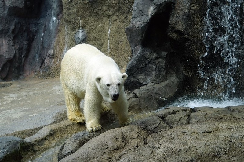 20251102-u1t5o 20251102-u1t5o