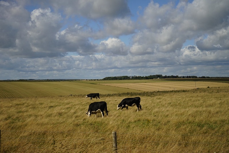 20251102-8lgpn 20251102-8lgpn