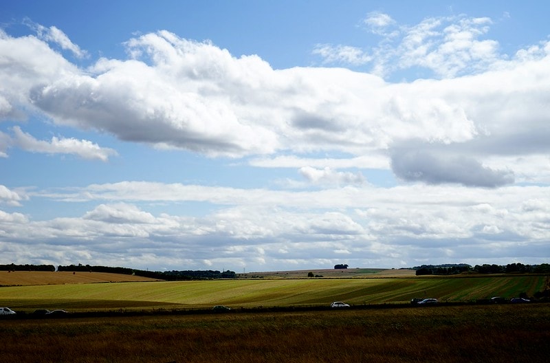 20251102-mg078 20251102-mg078