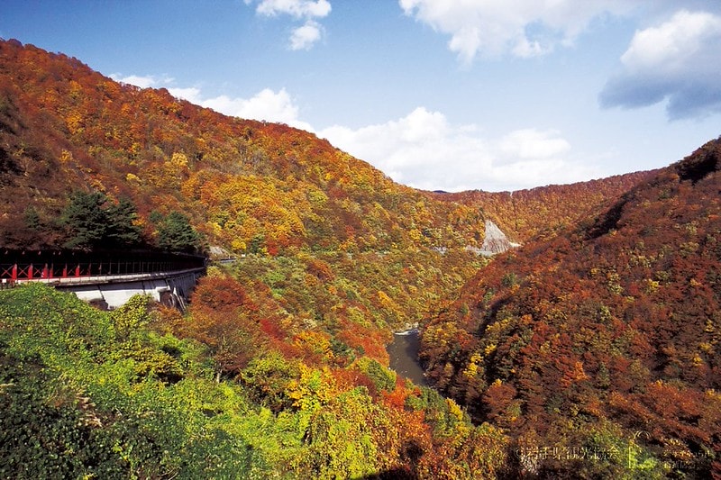 20251102-h1qpn 20251102-h1qpn