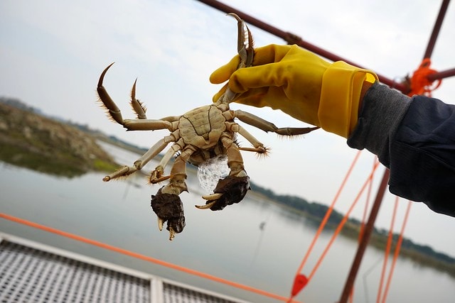 20251102-0qk28 20251102-0qk28