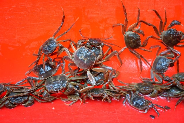 20251102-132x5-1 20251102-132x5-1