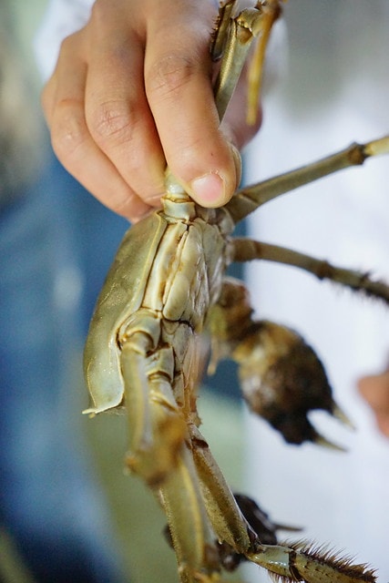 20251102-9wlm5 20251102-9wlm5