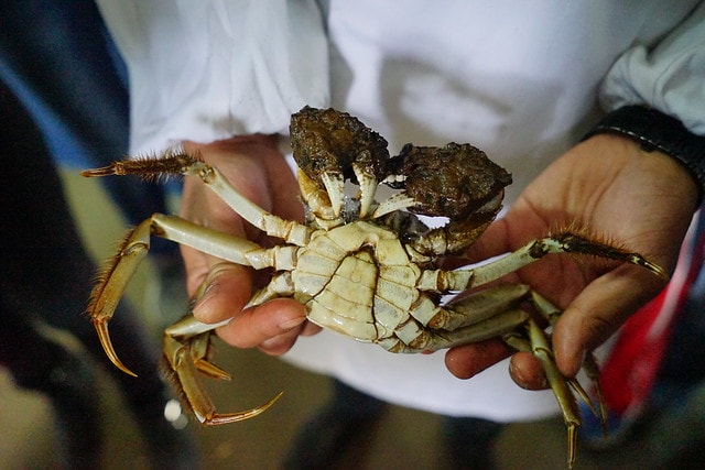 20251102-ewli5 20251102-ewli5