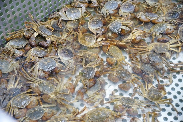 20251102-f50zd 20251102-f50zd