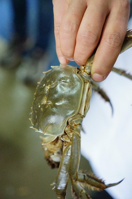 20251102-gxy3s 20251102-gxy3s