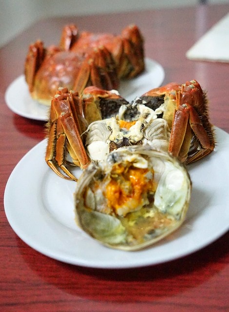 20251102-iq4v0 20251102-iq4v0