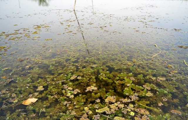 20251102-jdpb2 20251102-jdpb2