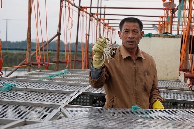 20251102-k4zyw 20251102-k4zyw