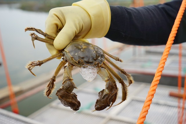 20251102-krbid 20251102-krbid