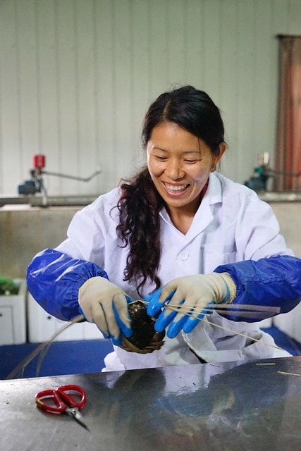 20251102-m8gdt 20251102-m8gdt