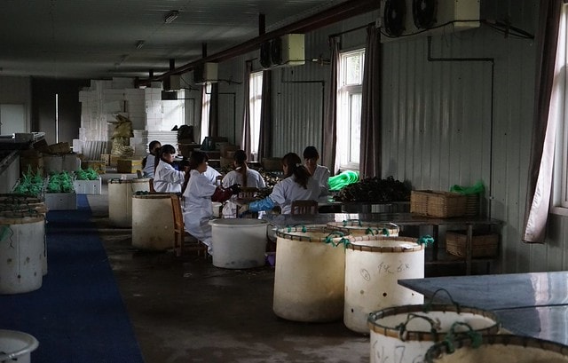 20251102-n2gtv 20251102-n2gtv