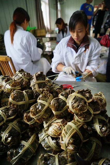 20251102-og2rb 20251102-og2rb