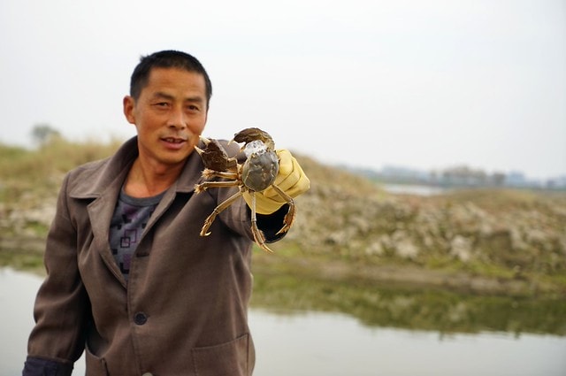 20251102-pfmxu 20251102-pfmxu