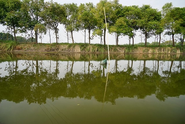 20251102-rsoko 20251102-rsoko