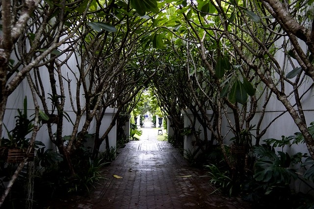 20251102-up9hh 20251102-up9hh