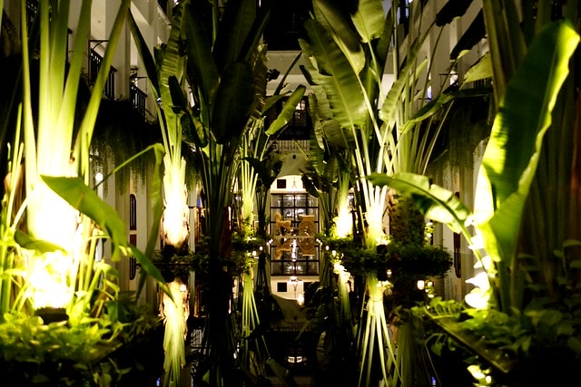 20251102-vuj9q 20251102-vuj9q